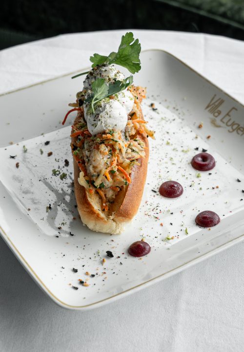 Villa Eugène-69 (1)